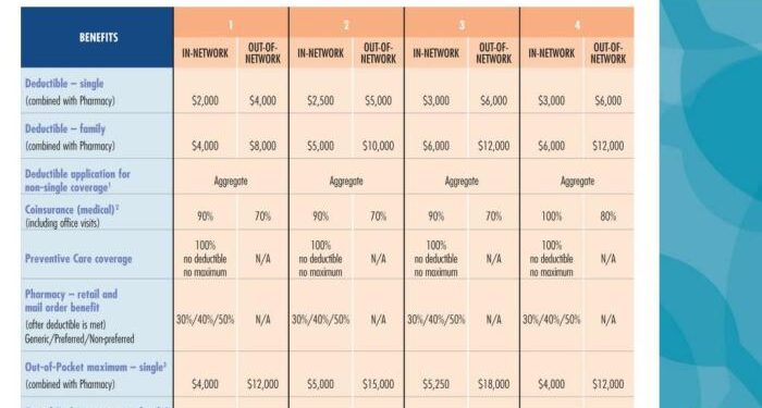 Manipal Cigna Pro Health Plus Plan Explained in Hindi | Best Heath ...