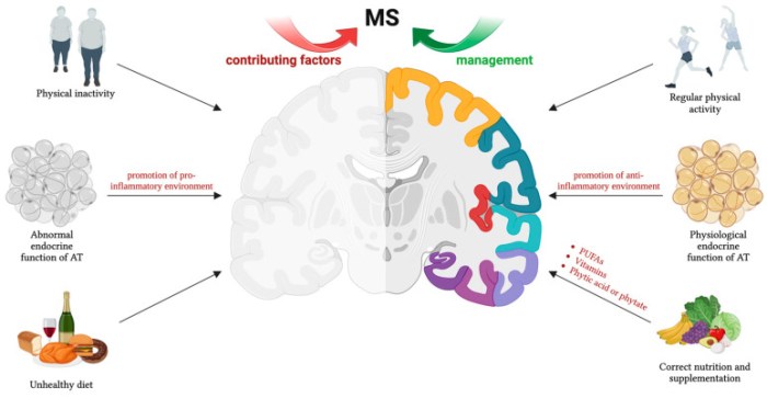 Impact of Lifestyle Interventions on Multiple Sclerosis: Focus on ...